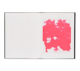 STAINLESS STEEL / FLUORESCENT PINK